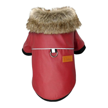 Luxury Fur-Trimmed Leather Jacket For Dogs-0