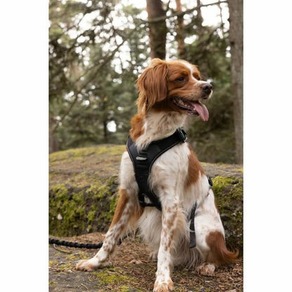 Dog Harness SYMBIOZ Black L-3