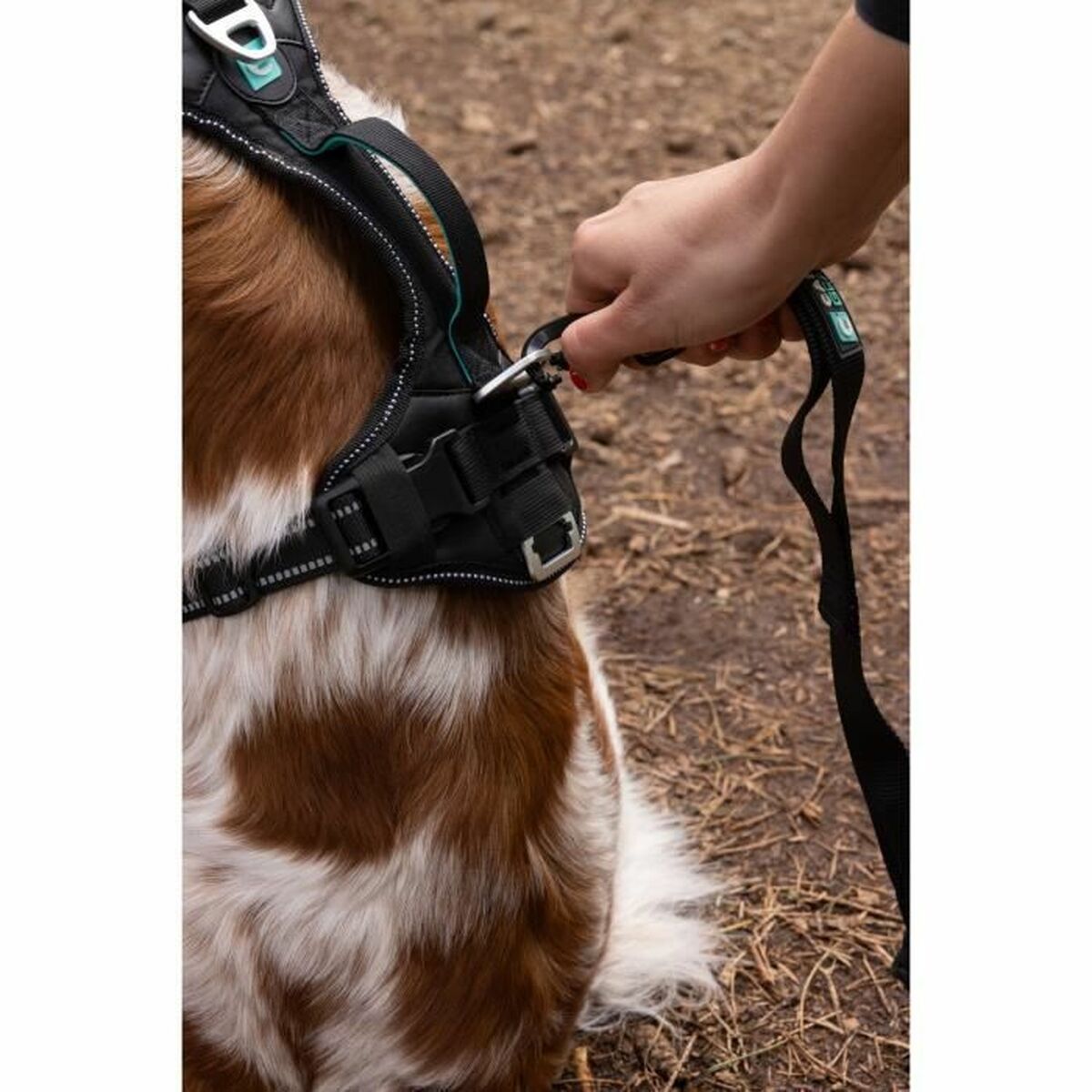 Dog Harness SYMBIOZ Black L-2