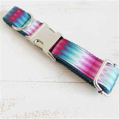 Vibrant Ribbon Traction Set For Patterned Dog Collars-2