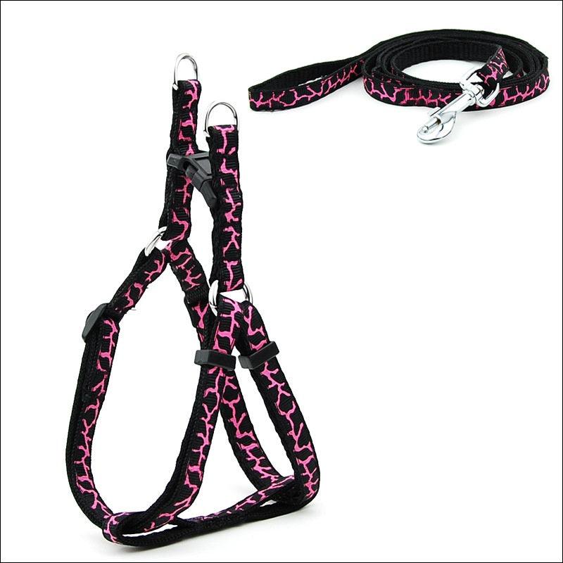 Pet Adventure Chest Strap Leash - Premium Quality Dog And Cat Walking Harness-2