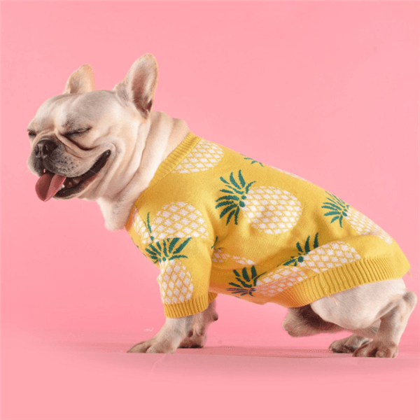 Tropical Delight Cotton Sweater-4