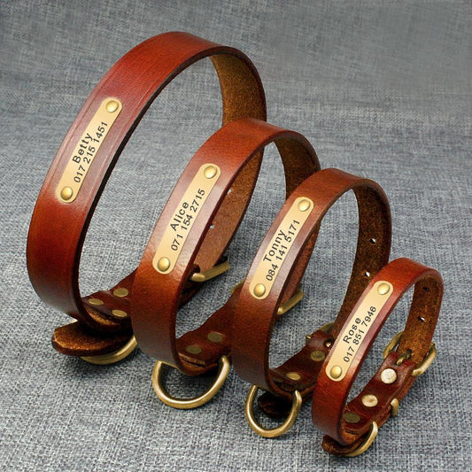 Personalized Genuine Leather Dog Collar With Stainless Steel Nameplate-0