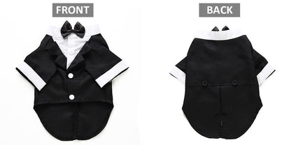 English Bulldog Pet Dog Suit-7