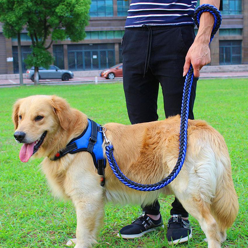 Ultimate Comfort Dog Harness-1