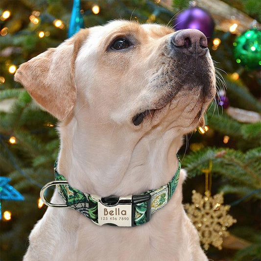 Reflective Wave Point Dog Collar: High Visibility, Adjustable, And Stylish-0
