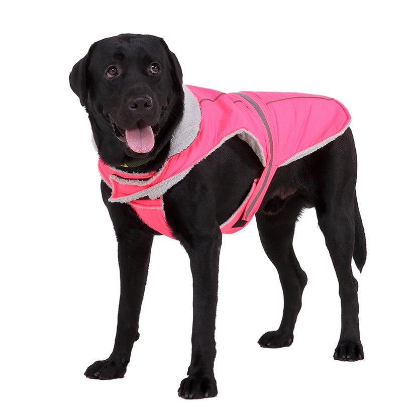 Night Glow Pet Winter Coat-2