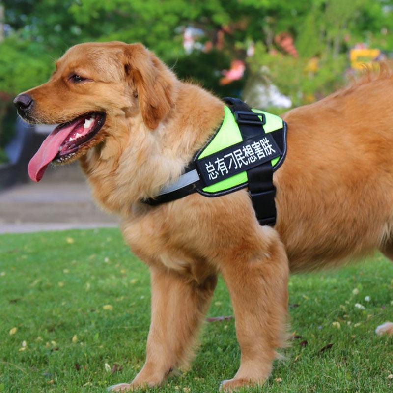 Ultimate Pet Adventure Set: Adjustable Chest Harness With Dog Leash-2