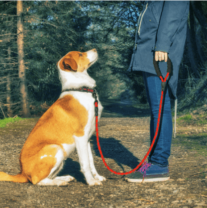Reflective Comfort Leash - Premium Nylon Dog Leash For Walking And Training - Ultimate Pet Safety And Control-0