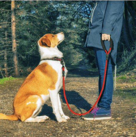 Reflective Comfort Leash - Premium Nylon Dog Leash For Walking And Training - Ultimate Pet Safety And Control-0
