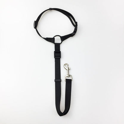 Secureflex Pet Safety Leash-5