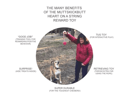 MKB Heart on a String Ultra-Durable Rubber Chew Toy for Power Chewers-3
