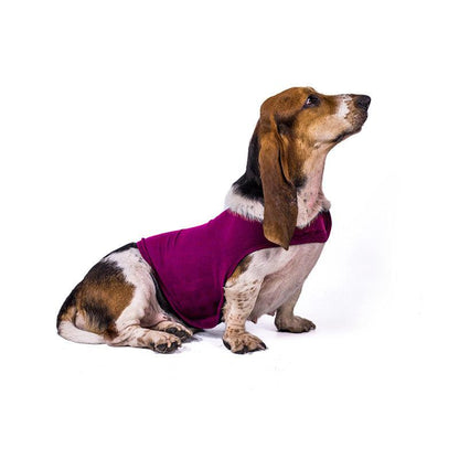 Serenity Pet Vest: Calming Comfort For Cats And Dogs-5