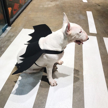 Pet Winged Canine Couture-3