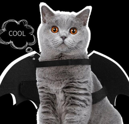 Luminous Bat Wings Dog Costume - Transform Your Pup Into A Mysterious Creature!-4