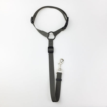 Secureflex Pet Safety Leash-6