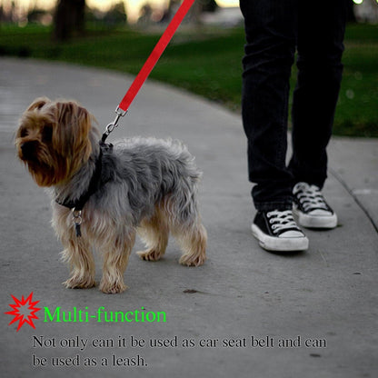 Secureflex Pet Safety Leash-1