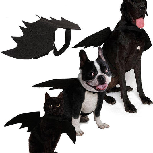 Shadow Wings Dog Costume-0