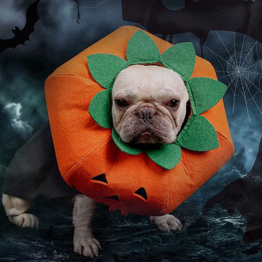 Halloween Pumpkin Pup Collar: Adorable Pet Cosplay Accessory For A Spooktacular Look!-0