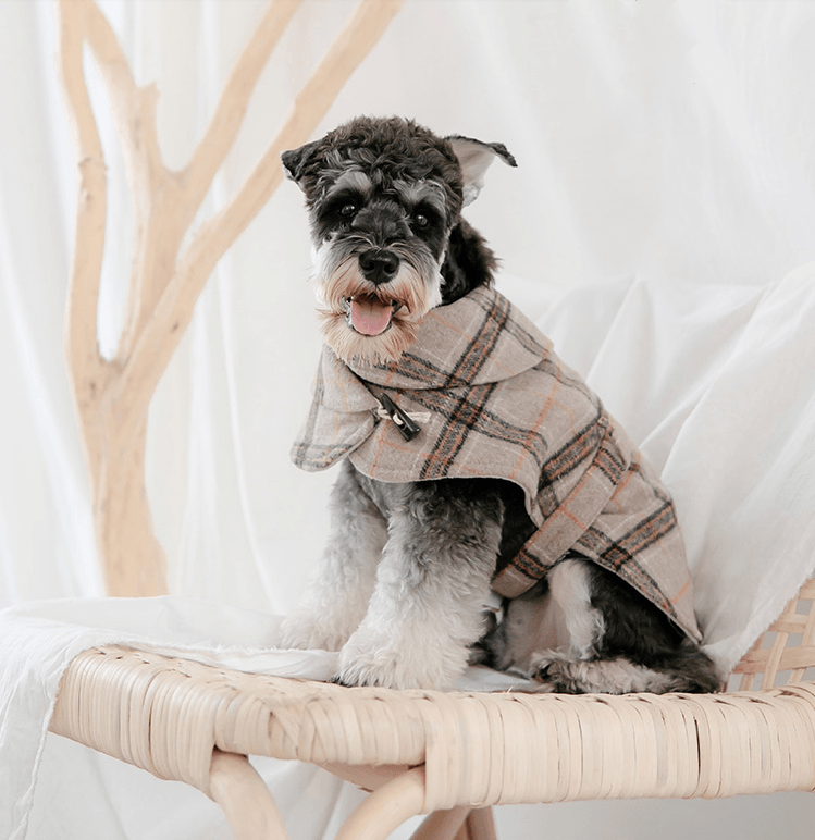 Petite Pooch Chic Coat: Stylish Windbreaker For Small Dogs-2