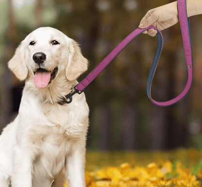 Premium Leather Dog Leash - Stylish And Durable Pet Traction Belt-0