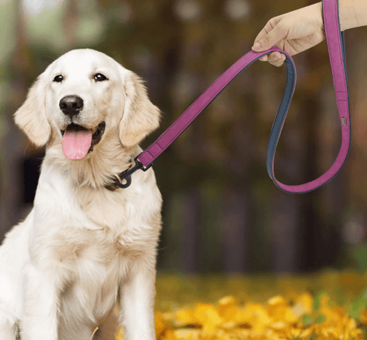 Premium Leather Dog Leash - Stylish And Durable Pet Traction Belt-0