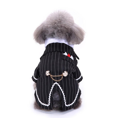 English Bulldog Pet Dog Suit-2