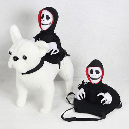 Scary Spider Rider Pet Halloween Costume-3