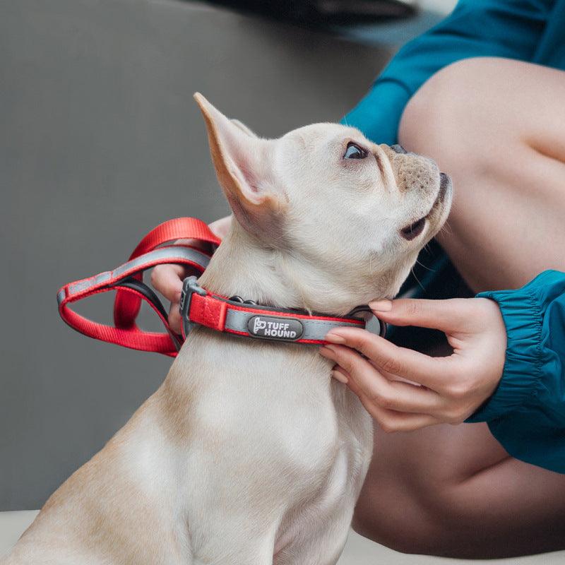 Reflective Full Neck Traction Set For Stylish Dogs-1