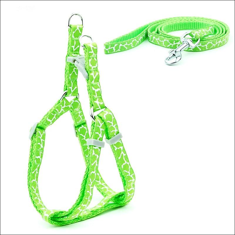 Pet Adventure Chest Strap Leash - Premium Quality Dog And Cat Walking Harness-1