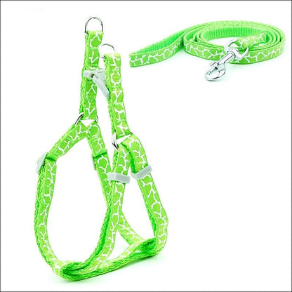 Pet Adventure Chest Strap Leash - Premium Quality Dog And Cat Walking Harness-1