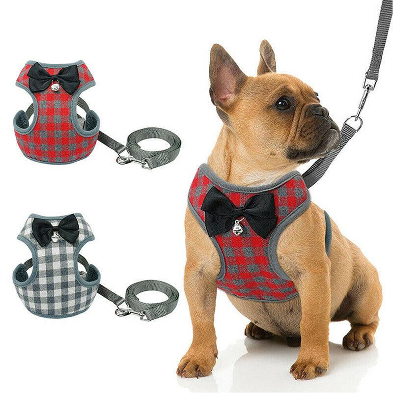 Ultimate Comfort Dog Chest Strap Leash-1