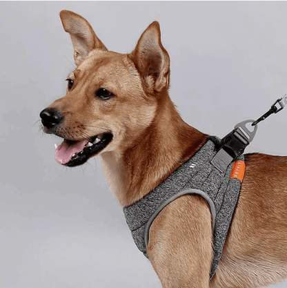 Stylish Rope Leash With Adjustable Size And Carabiner Attachment-1