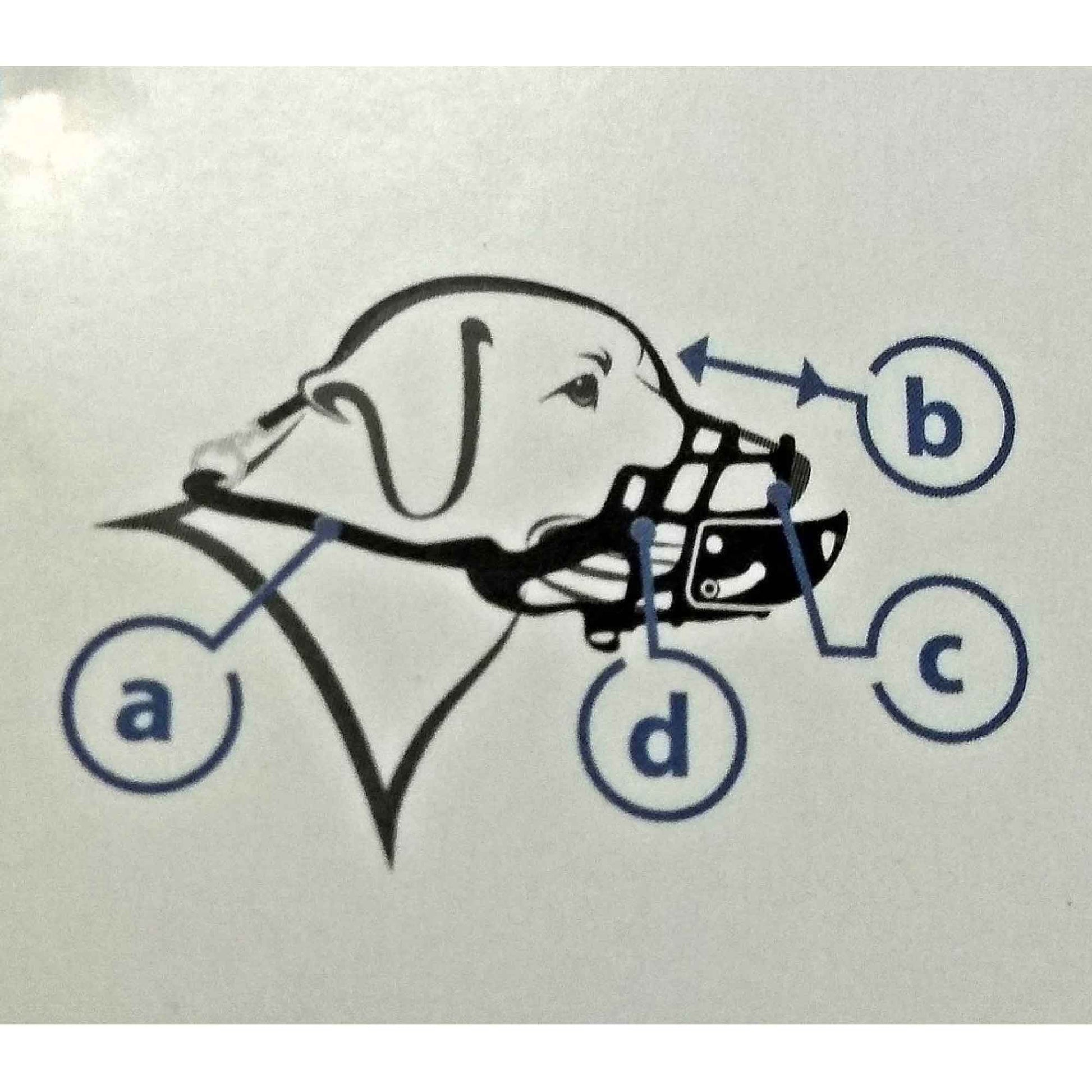 Dog Muzzle Guard - Anti Barking Biting Soft Flexible Cage Pet Mouth Basket Pawise-3