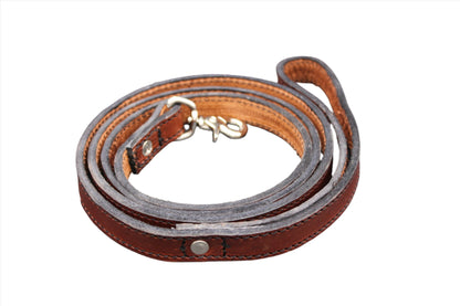 Dog Leash-0