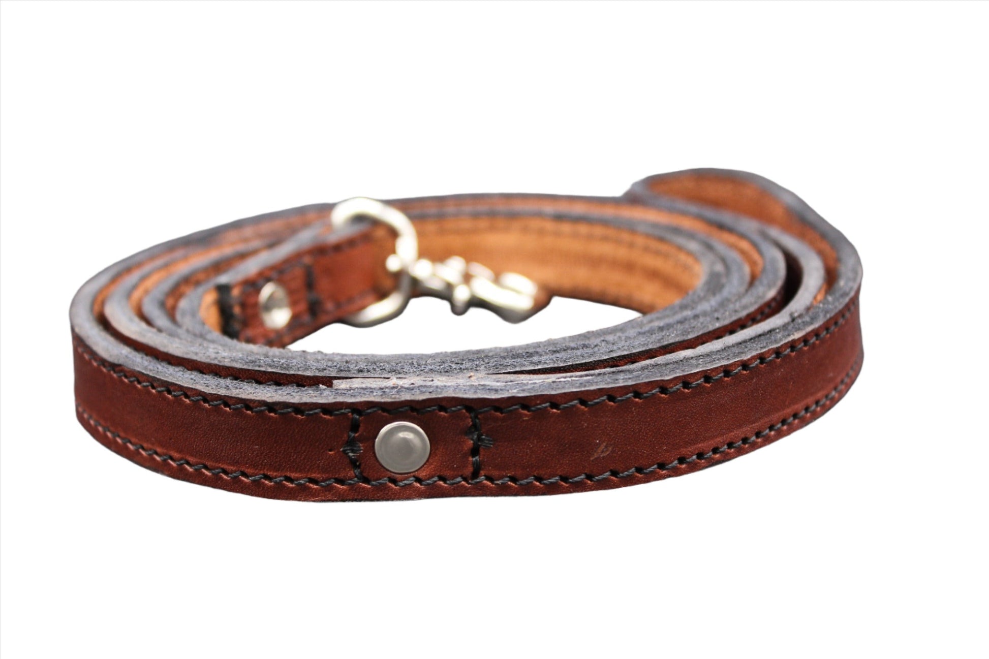 Dog Leash-1