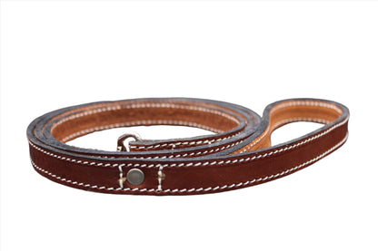 Dog Leash-3