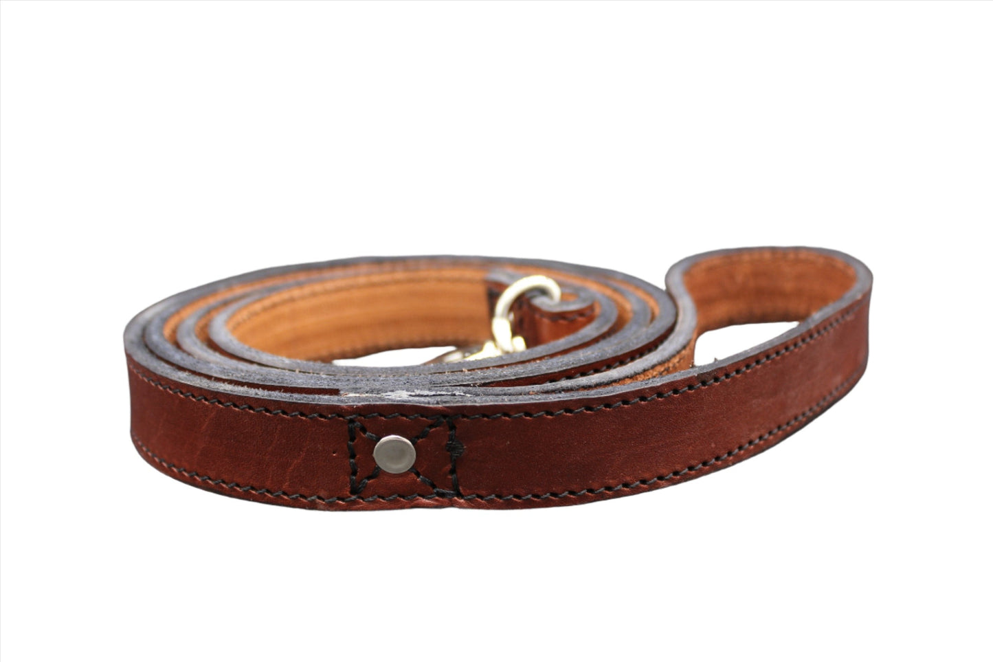 Dog Leash-2