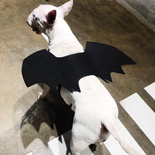 Pet Winged Canine Couture-0