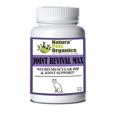 Advanced Neuro-Muscular Support Capsules for Dogs & Cats-4