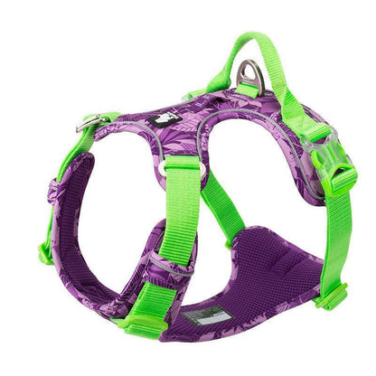All-Purpose Dog Leash And Vest Set-4