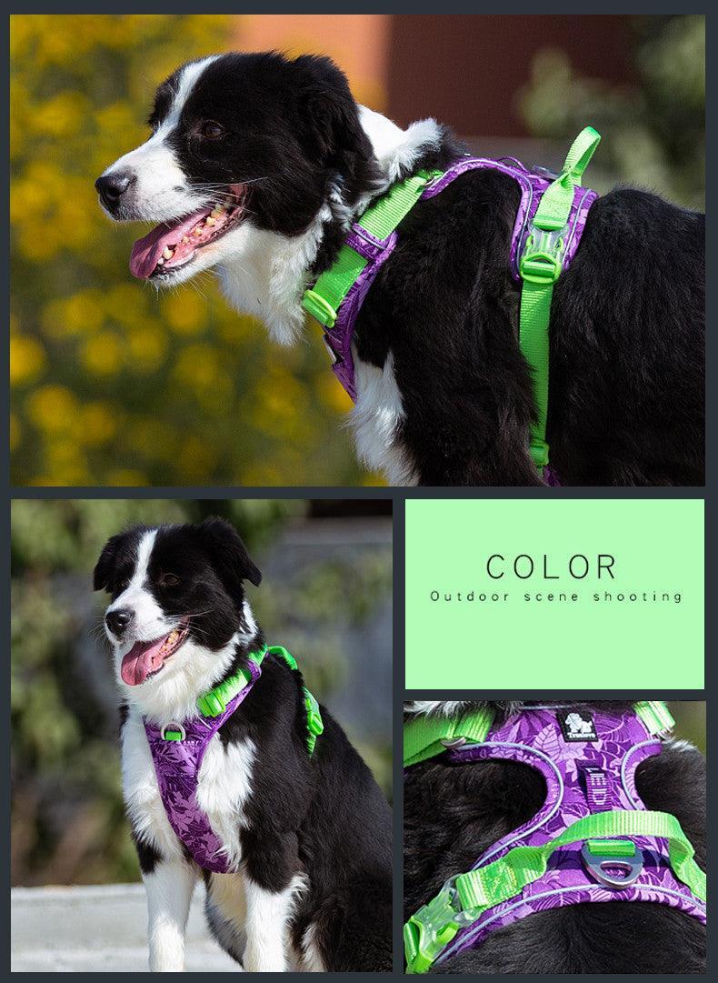 All-Purpose Dog Leash And Vest Set-2