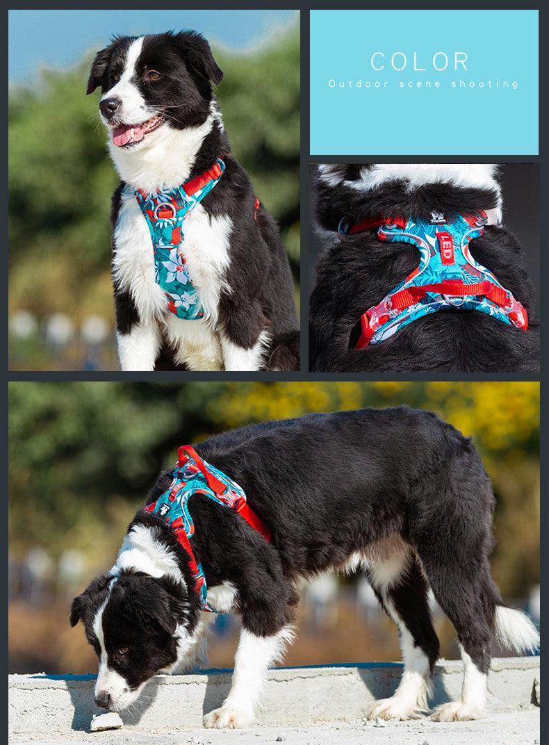 All-Purpose Dog Leash And Vest Set-3