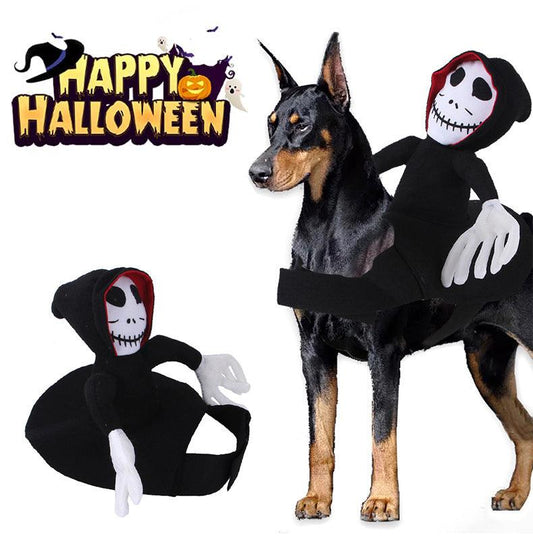 Scary Spider Rider Pet Halloween Costume-0