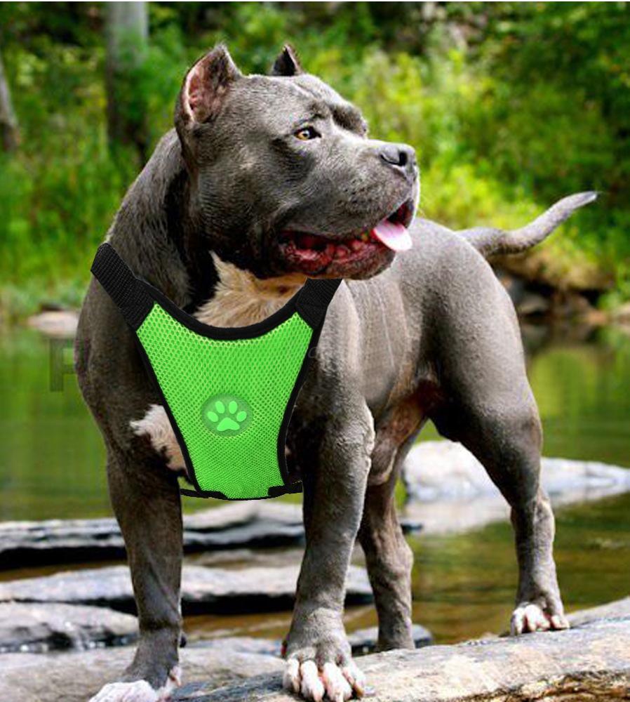 Breathable Mesh Pet Car Safety Chest Harness-3