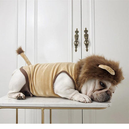 Pet Costume: Lion King Transformation Outfit For Dogs And Cats-0
