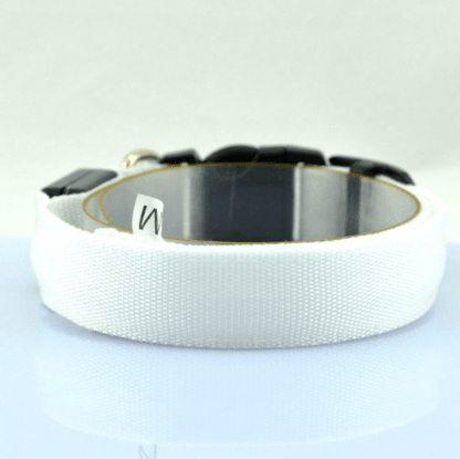 Luminous Glow Dog Collar - Illuminate Your Pup In Style!-3