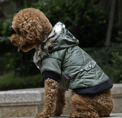 Cozy Canine Couture: Stylish Autumn And Winter Fur Collar Dog Coat-0