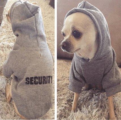 Cozy Canine Hooded Fleece Sweater-0