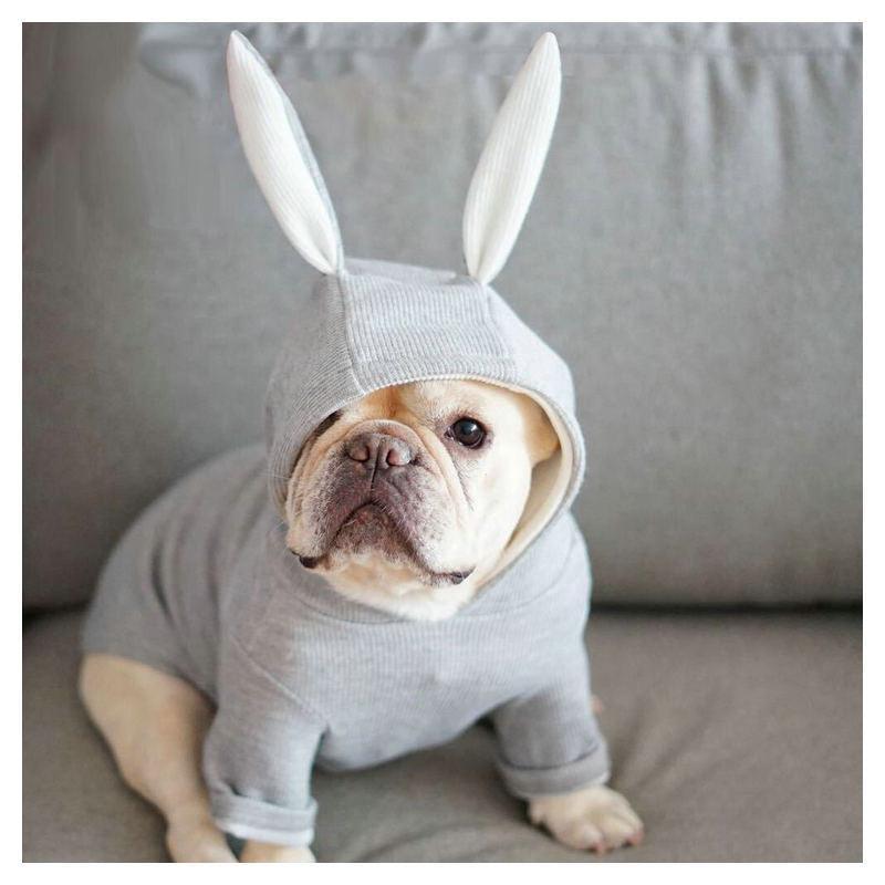 Cozy Canine Knitted Sweater With Bunny Ears-0